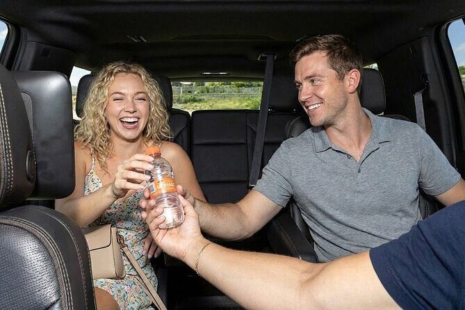 Transfer Private Guadalajara Airport Single - The Experience from Arrival to Hotel