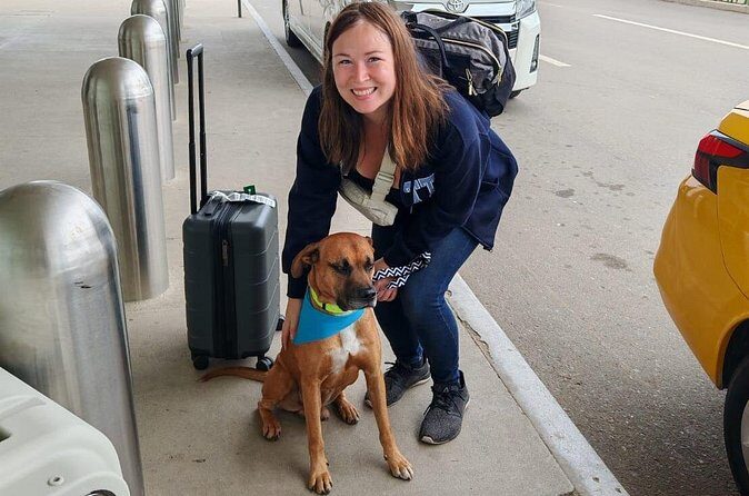 Transfer Private Hotel to Oaxaca Airport - Authentic Experiences and Common Feedback