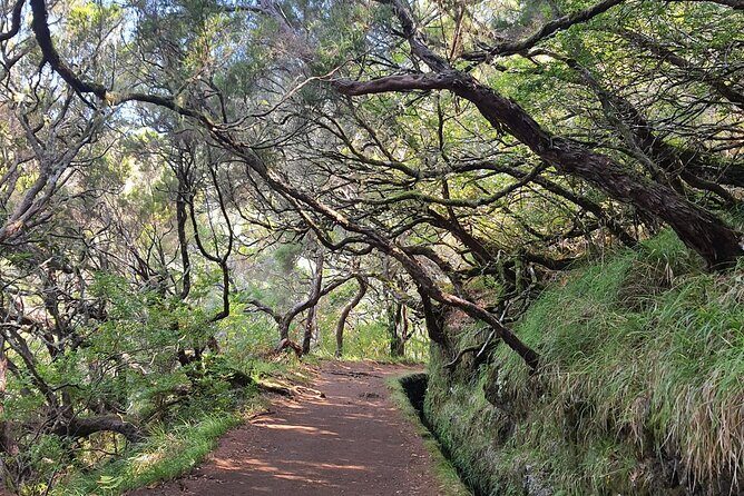 Transfer Rabacal 25 Fontes & Risco Levada Self-Guided - Key Points