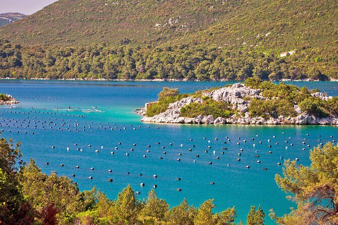 Transfer Split to Dubrovnik with Sightseeing in Ston Town - Final Thoughts: Who Will Love This Tour?