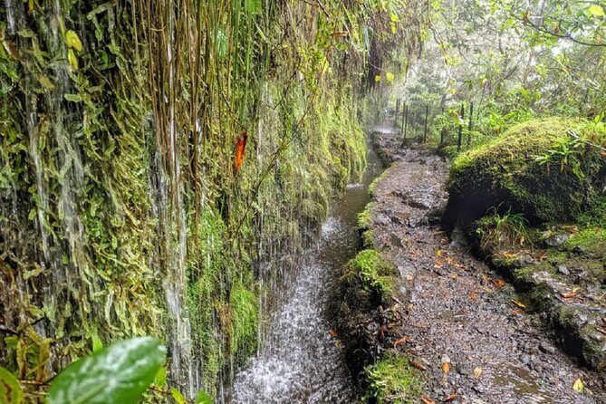 Transfer to Caldeirão Verde Levada Self-Guided Hike Queimadas - FAQ