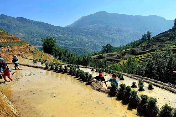 Transfer to or from Sapa in a Sleeper Bus from Hanoi - Why Choose This Sleeper Bus Transfer?