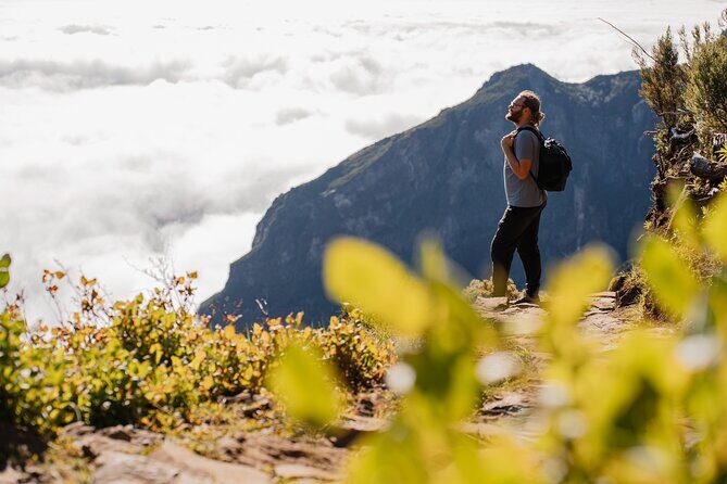 Transfer to Pico do Arieiro Self-Guided Hike (Morning slot) - In-Depth Look at the Experience