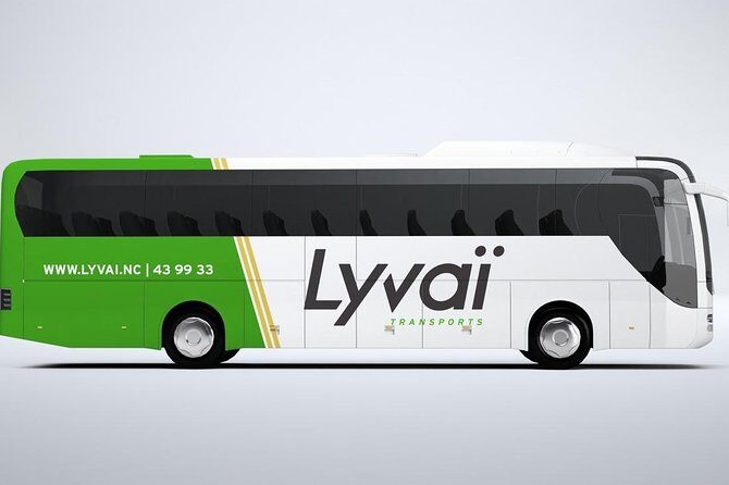 Transfer to the Magenta domestic Airport - Detailed Review of the Transfer Experience