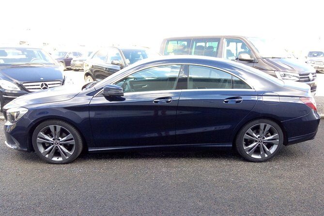 Transfers Private: Paris-Aéroports/Paris-Disneyland, France - Key Points