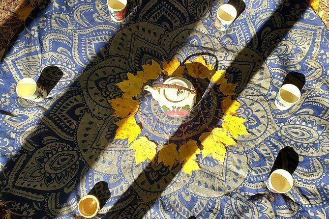 Transformative Forest Escape: A Mindful Journey for Inner Calm - FAQ