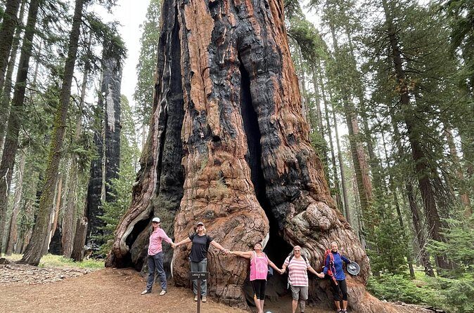 Transformative Outdoor Day Retreat Among the Giant Sequoias - Practical Details and What to Bring