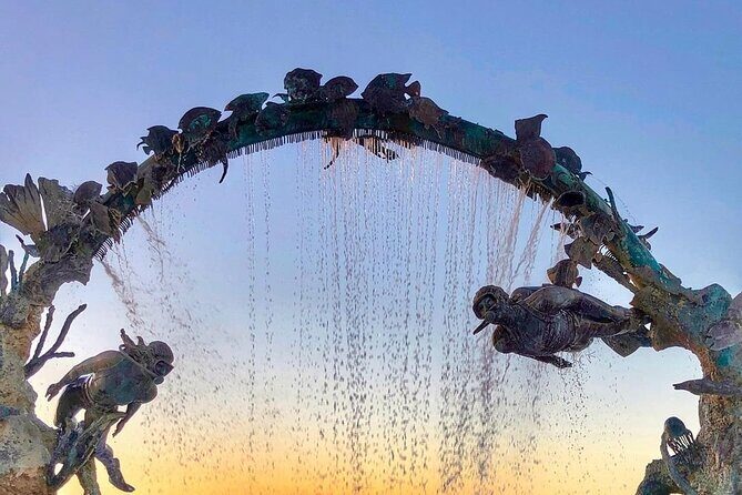 Transparent Boat Ride Around Cozumel Island + Snorkel - Frequently Asked Questions