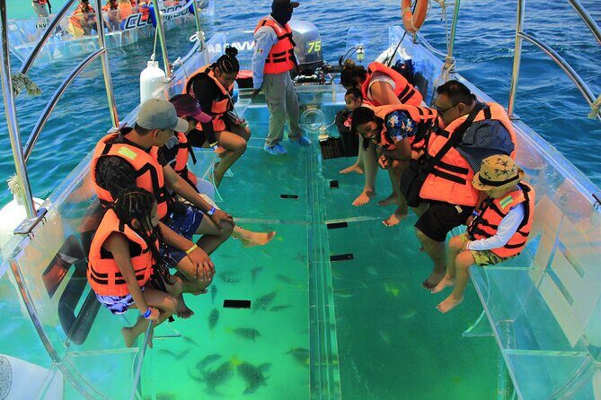 Transparent Boat Tour Cabo San Lucas - Practical Tips for Travelers