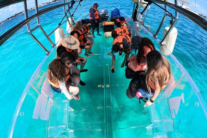 Transparent Boat Tour Cozumel Snorkel, 2 Drinks - What to Expect on the Tour