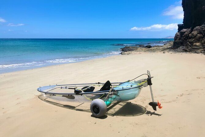 Transparent Electric Kayaks with Guide - The Sum Up: Who Will Love This Experience?