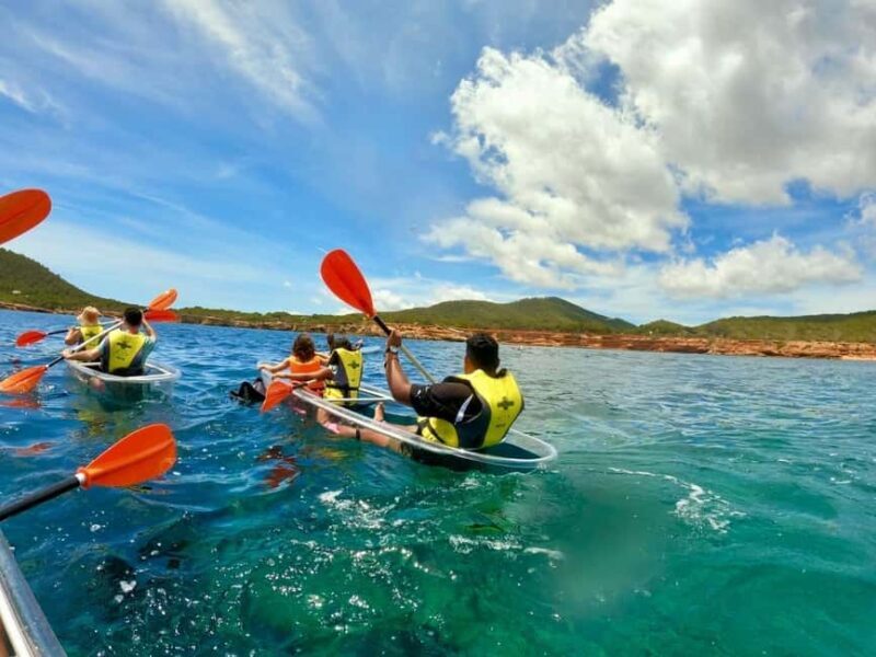 Transparent Kayak or SUP Guided Tour in Pou des LLeo - The Sum Up