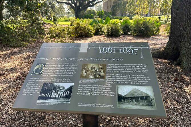 Transportation (Only) to a Plantation - Why Choose This Transportation Service?