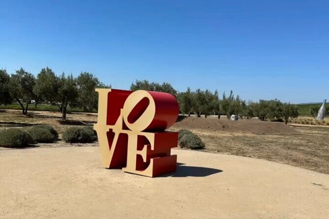 Transportation services for Napa . Sonoma wine tours - An In-Depth Look at the Experience