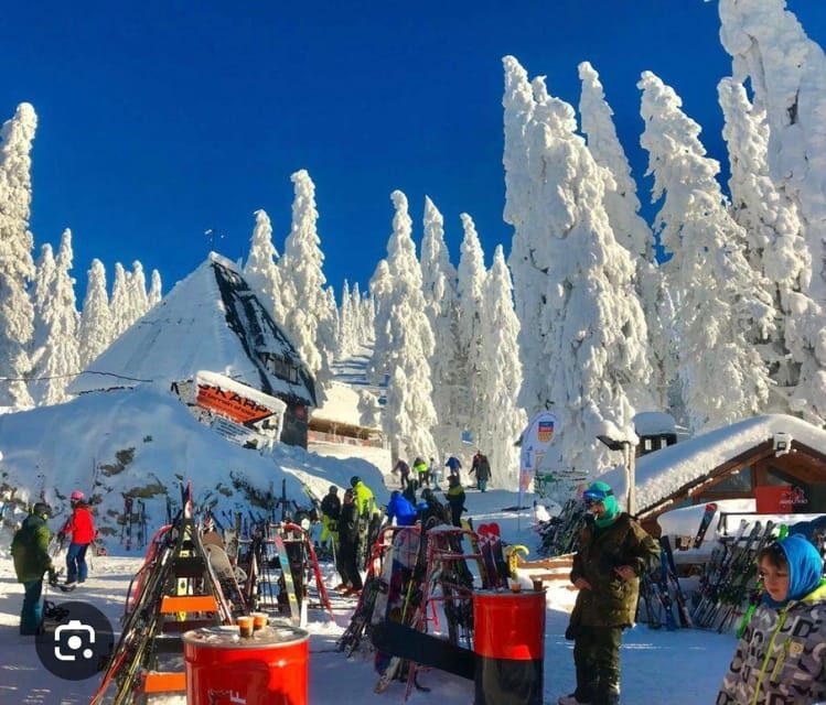 Transylvania: Christmas Markets Private Tour: Brasov & Sibiu - Key Points