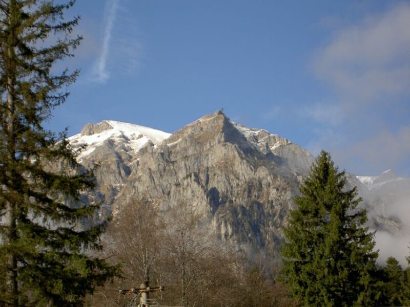 Transylvania: Cultural Full-Day Trip by Minivan - Detailed Breakdown of Highlights