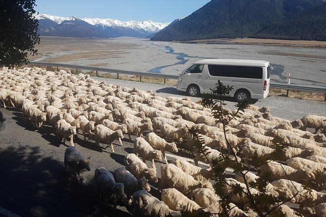 Tranz Alpine Train Tour - FAQs about the Tranz Alpine Train Tour