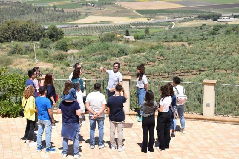 Trapani: Organic Wine Tasting with the Producer - The Overall Experience and Value