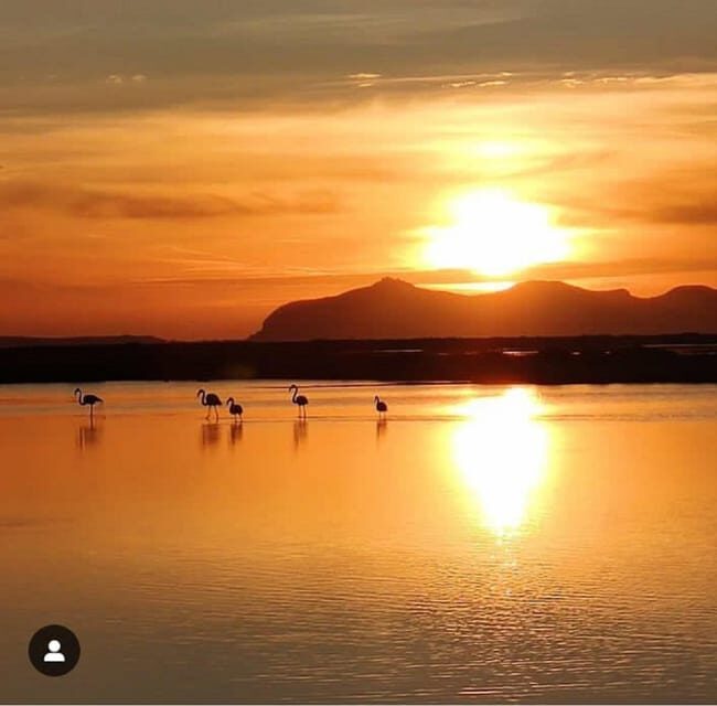 Trapani: Salt Pans Sunset Tour and Flamingo Way - What’s Included and What to Keep in Mind