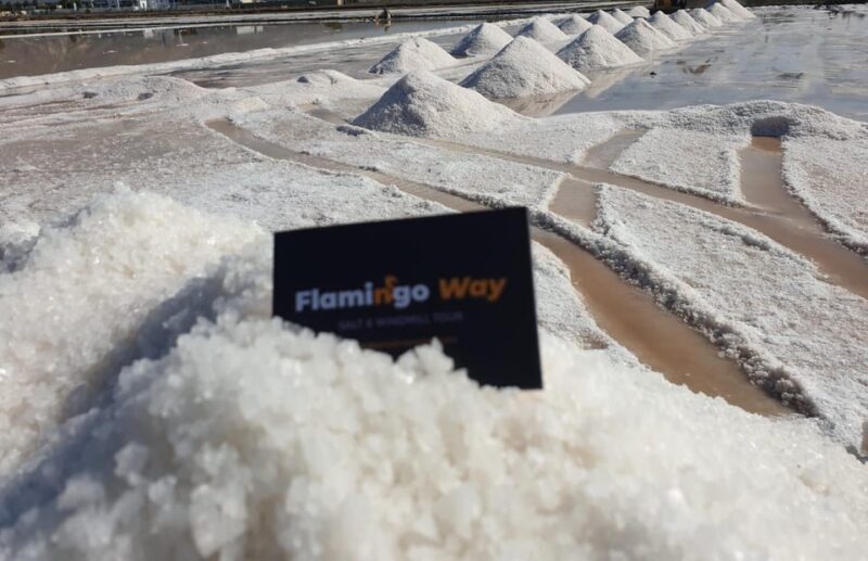 Trapani: Salt Pans Sunset Tour and Flamingo Way - Authentic Experiences and Traveler Insights