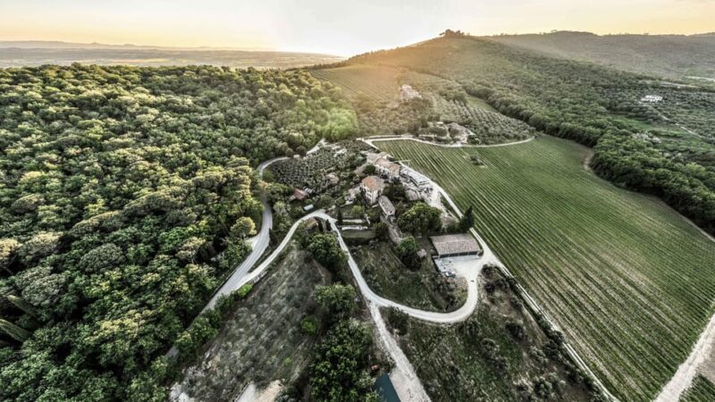 Trasimeno: Discovering Montemelino Wine Experience - Exploring the Montemelino Experience in Detail