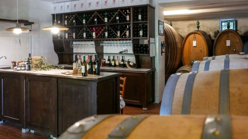 Trasimeno: Discovering Montemelino Wine Experience - FAQs
