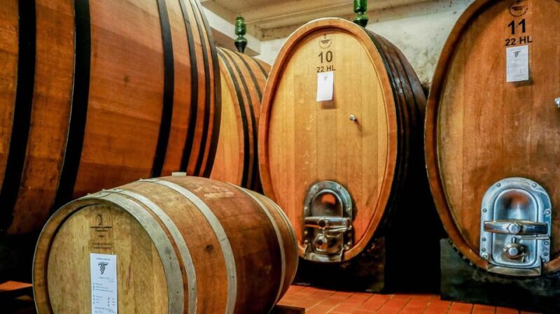 Trasimeno: Light Lunch, Oil, And Wine Experience - The Experience in Detail