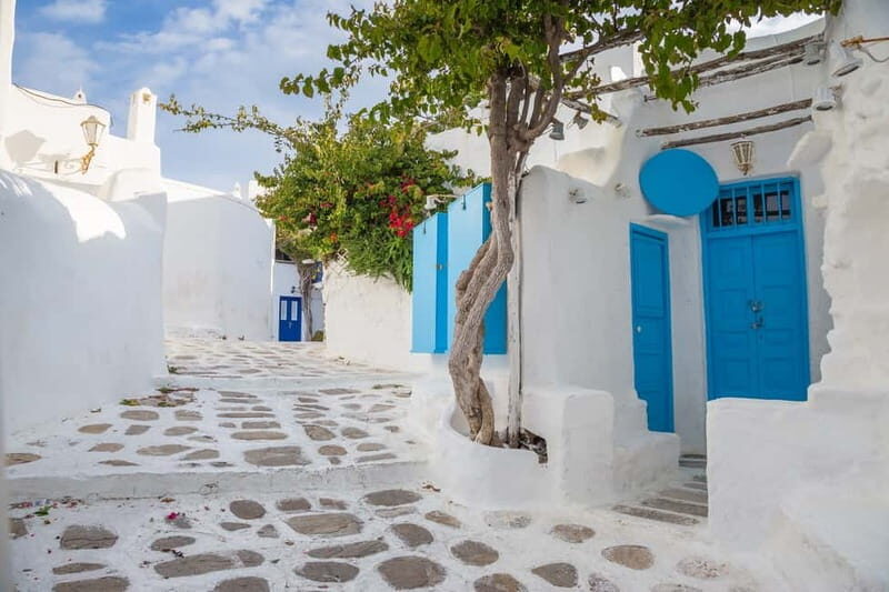 Travel from Athens to Mykonos one day - Who Should Consider This Tour?