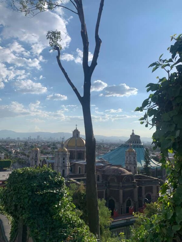 Travel through Teotihuacan, the Basilica, and enjoy a Mezcal tasting. - Practical Details and Logistics