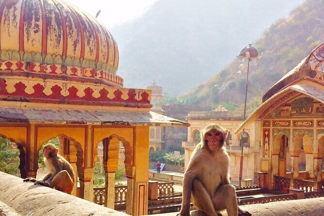 Travel Through the Streets of Jaipur by Tuktuk with a Local - A Deep Dive into the Jaipur Tuktuk Tour Experience