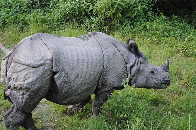 Travel to Nepal 10 days to explore the Culture and Best Views - Exploring the Itinerary in Detail