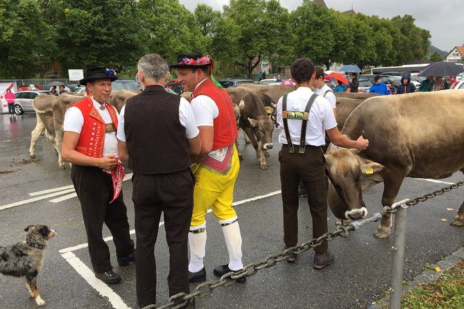 Travel with Swissness - FAQ