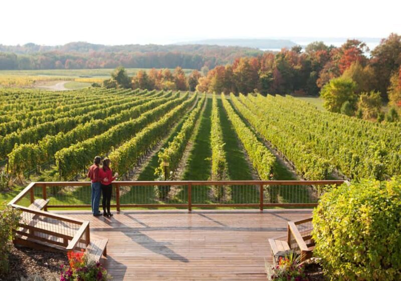 Traverse City: 5-Hour Old Mission Peninsula Wine Tour - Who This Tour Is Perfect For