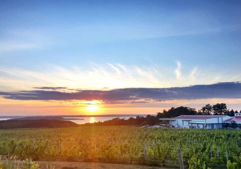 Traverse City: 5-Hour Old Mission Peninsula Wine Tour - Final Thoughts