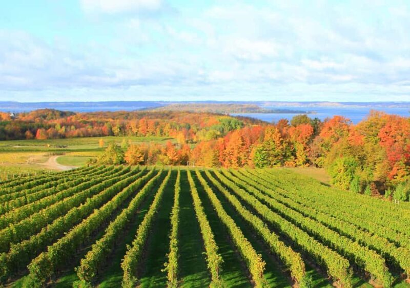 Traverse City: 5-Hour Old Mission Peninsula Wine Tour - FAQ