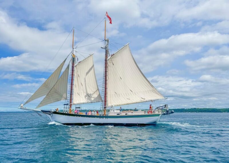 Traverse City: Afternoon Sailing Adventure on a Tall Ship - The Journey: What to Expect from Start to Finish