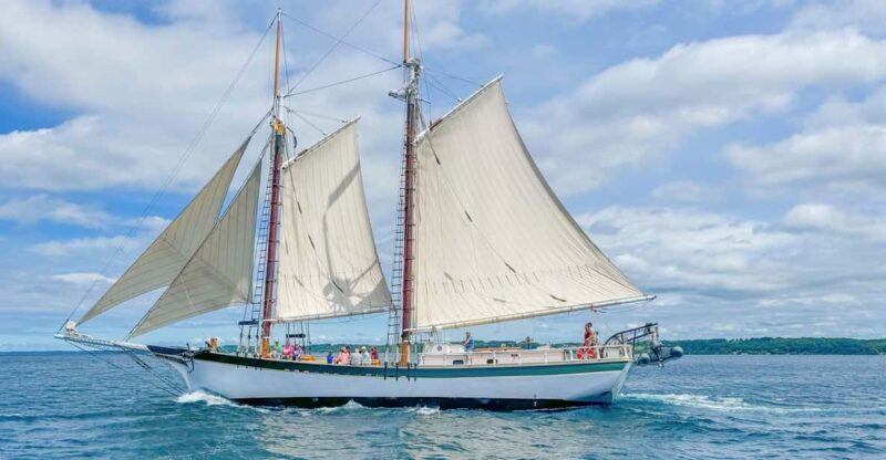 Traverse City: Morning Sail with Local Anishinaabe Guide - Key Points