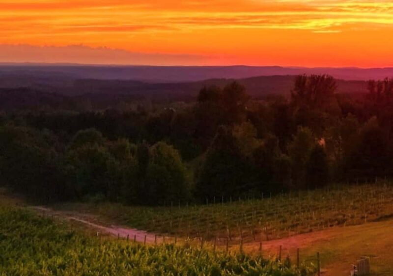 Traverse City: Old Mission Peninsula 4-Hour Sunset Wine Tour - Authentic Experiences and Authenticity