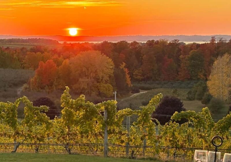 Traverse City: Old Mission Peninsula 4-Hour Sunset Wine Tour - Final Thoughts