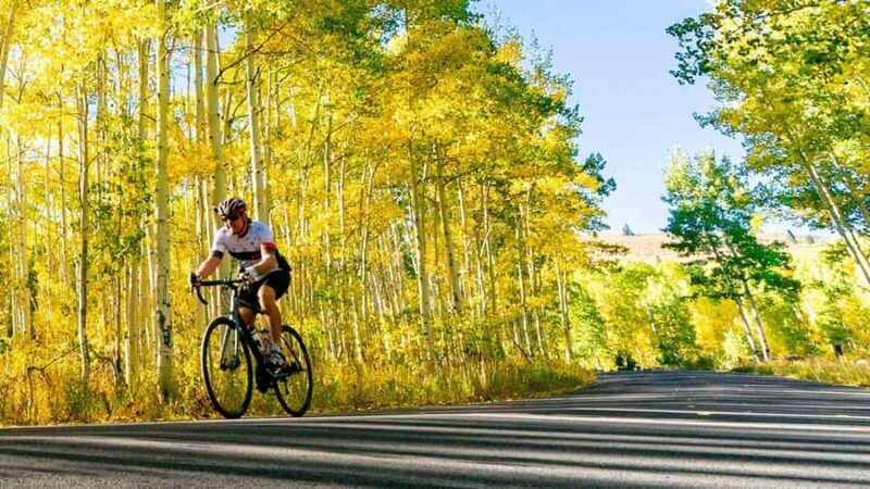 Traverse City: Old Mission Peninsula Bike and Wine Tour - An Authentic, Flexible Way to Experience Old Mission Peninsula