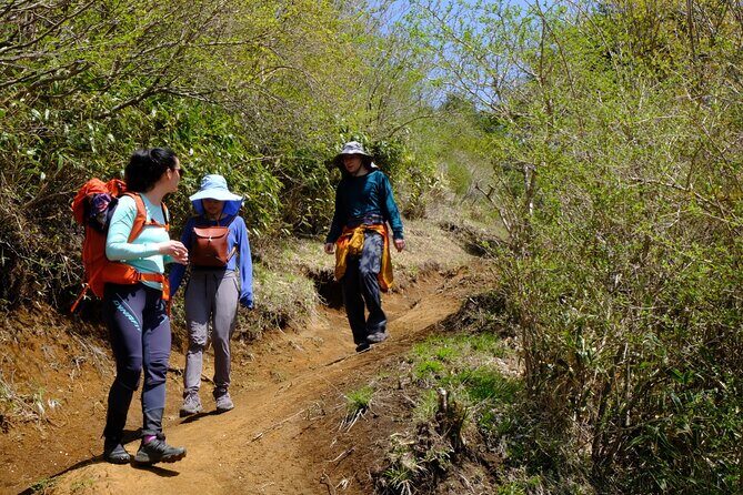 Traverse Outer Rim of Hakone Caldera and Enjoy Onsen Hiking Tour - FAQ