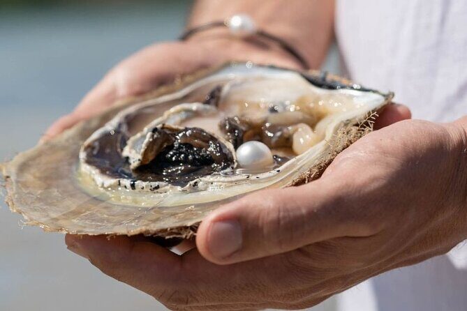 Treasures of Broome Tour - Exploring Broome’s Treasures: A Detailed Breakdown