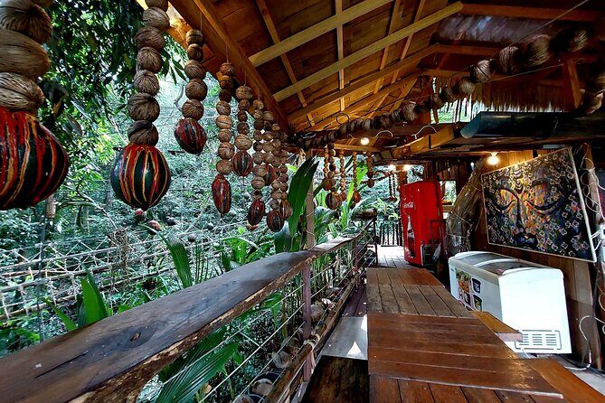 Tree Bridge Cafe And Zipline - Jungle Flight Adventure in Koh Samui - The Highlights