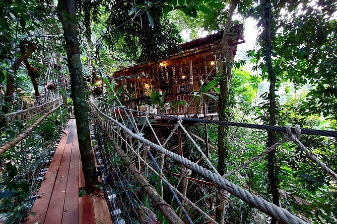Tree Bridge Cafe And Zipline - Jungle Flight Adventure in Koh Samui - The Itinerary – A Closer Look