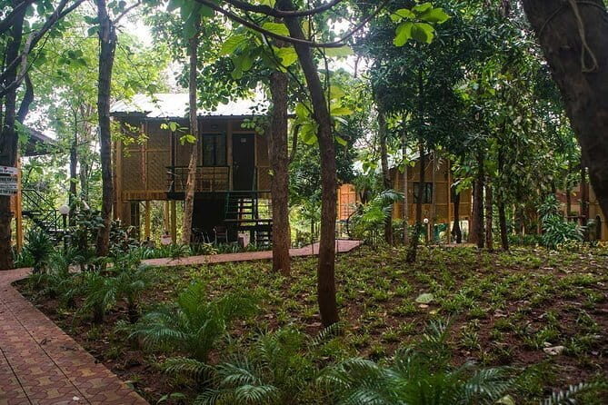 Tree-House Adventure in Palghar - Exploring the Tree-House Experience in Palghar