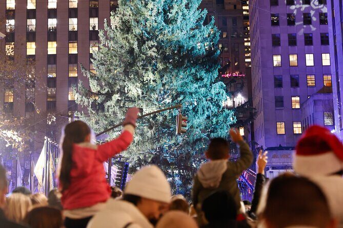 Tree Lighting Ceremony Indoor Viewing from 45 Rockefeller Center - Is This Tour Right for You?
