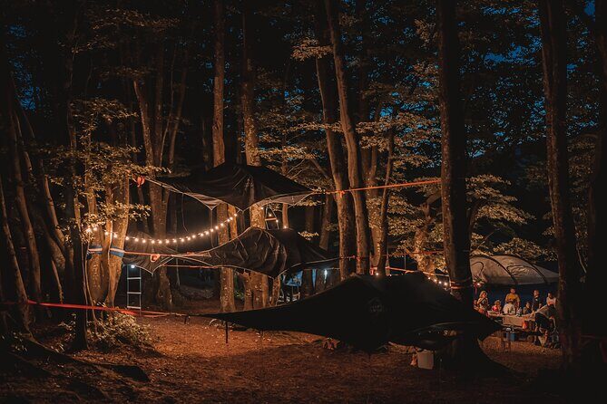 Tree Tents Experience - E-bike Tour - Introduction: A Different Kind of Italy Adventure