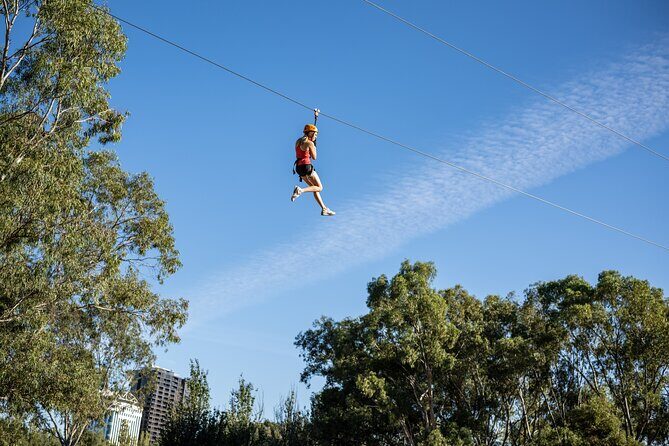 Tree Top Activity for Thrill Seekers and Adventurers in Adelaide - Key Points