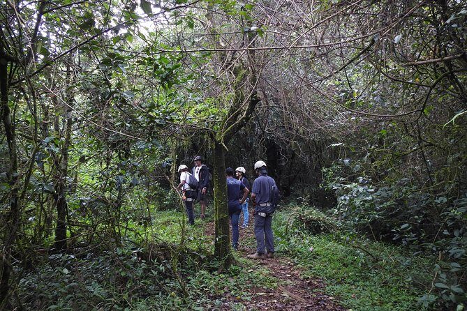 Tree Top Adventure - A Forest Adventure High Above the Ground in Coorg