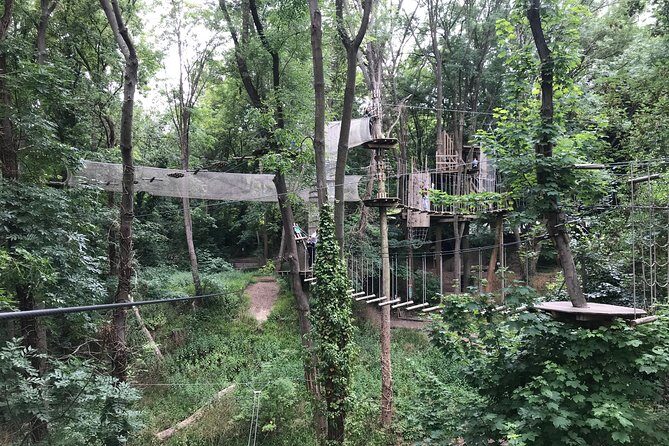 Tree Top Adventure in Rueil-Malmaison - Key Points